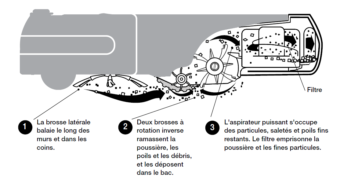 graphic