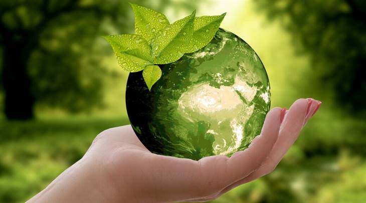 eco.jpg