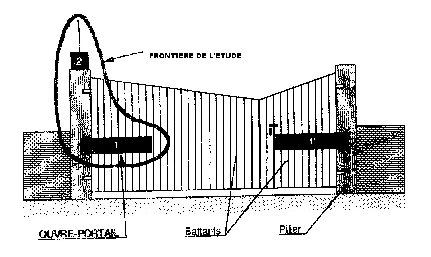 graphic