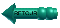 fleche retour.gif