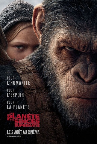 17 films