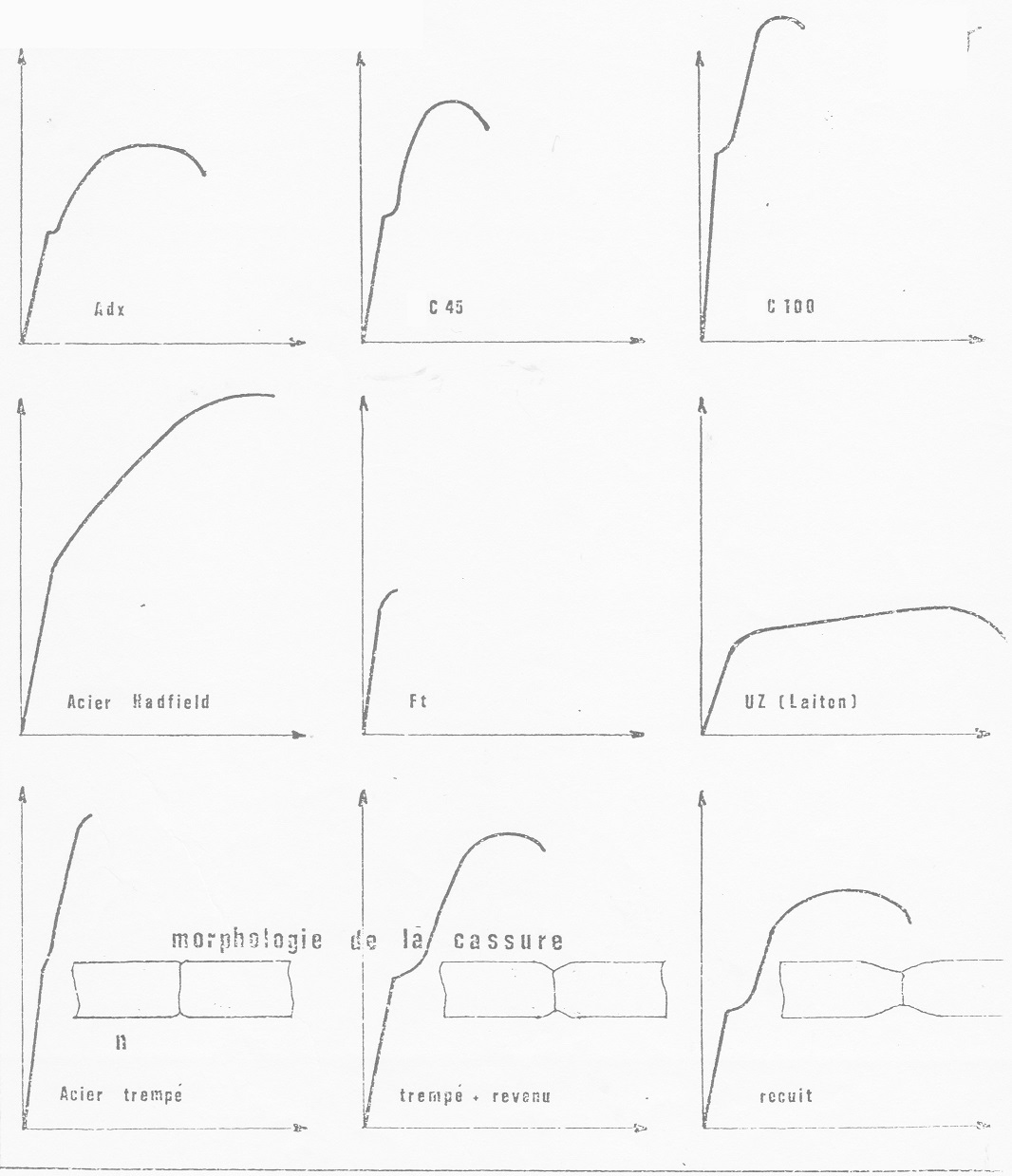 graphic