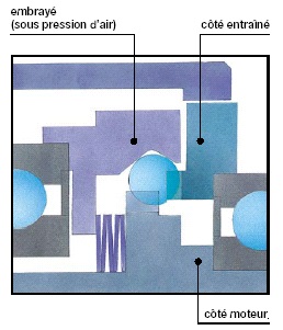 graphic